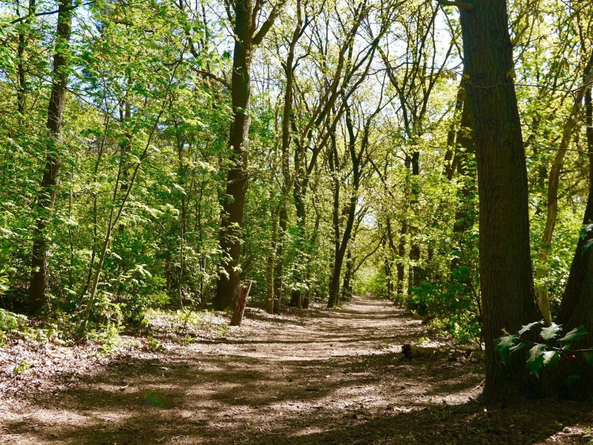 Luxe Chalet Op De Veluwe Ermelo Zewnętrze zdjęcie